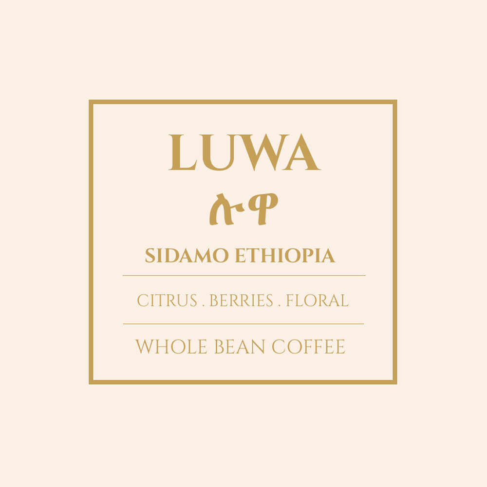 Luwa Coffee